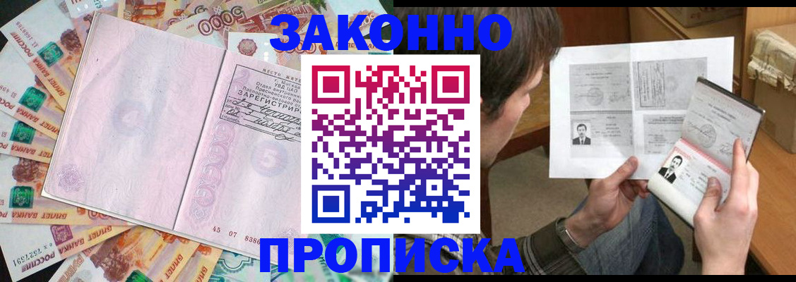 прописка для школы в Волоколамске